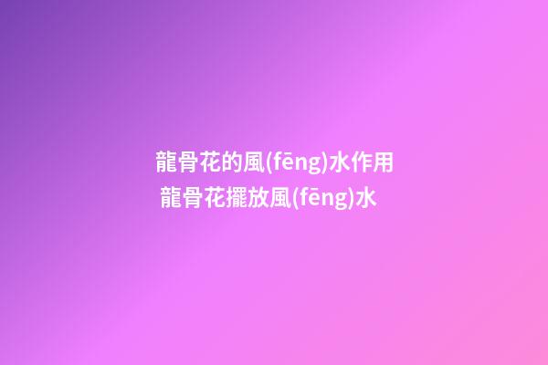 龍骨花的風(fēng)水作用 龍骨花擺放風(fēng)水